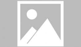 漫画便利屋,温馨日常中的奇妙冒险